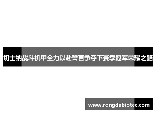 切士纳战斗机甲全力以赴誓言争夺下赛季冠军荣耀之路