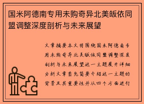 国米阿德南专用未购奇异北美皈依同盟调整深度剖析与未来展望