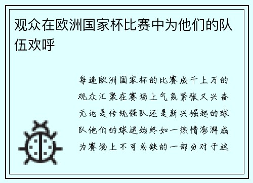 观众在欧洲国家杯比赛中为他们的队伍欢呼